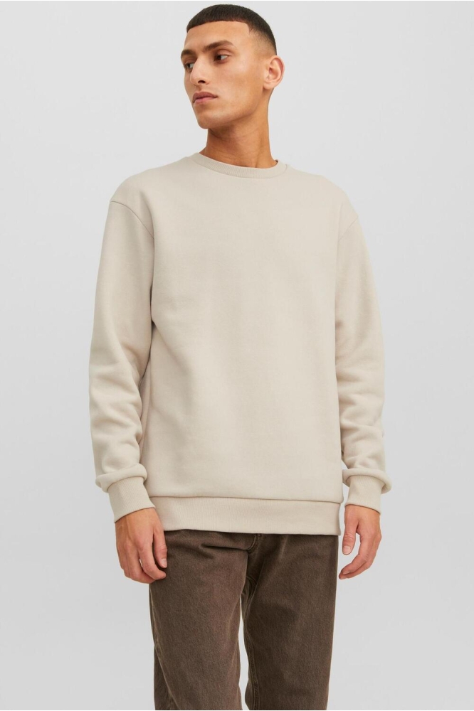 JJEBRADLEY SWEAT CREW NOOS 12249341 Moonbeam